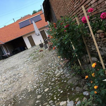 Casa Saseasca Villa Saschiz Dış mekan fotoğraf