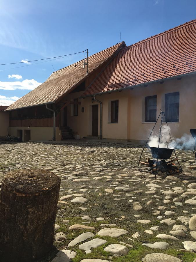 Casa Saseasca Villa Saschiz Dış mekan fotoğraf
